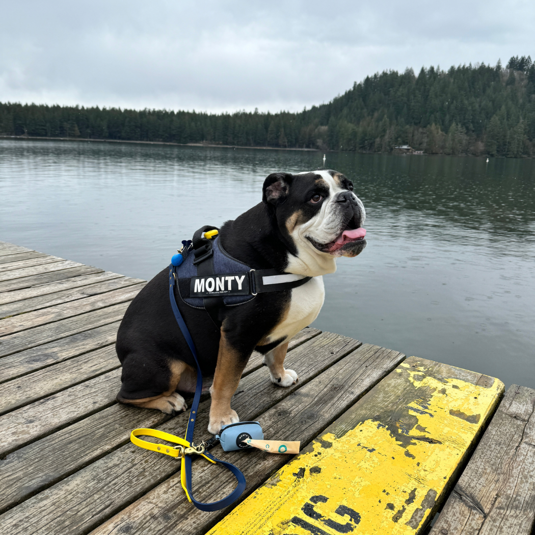 Monty's Bags - Vegan Leather Poop Bag Dispenser with 15 Standard Size Bags: Sunset Red