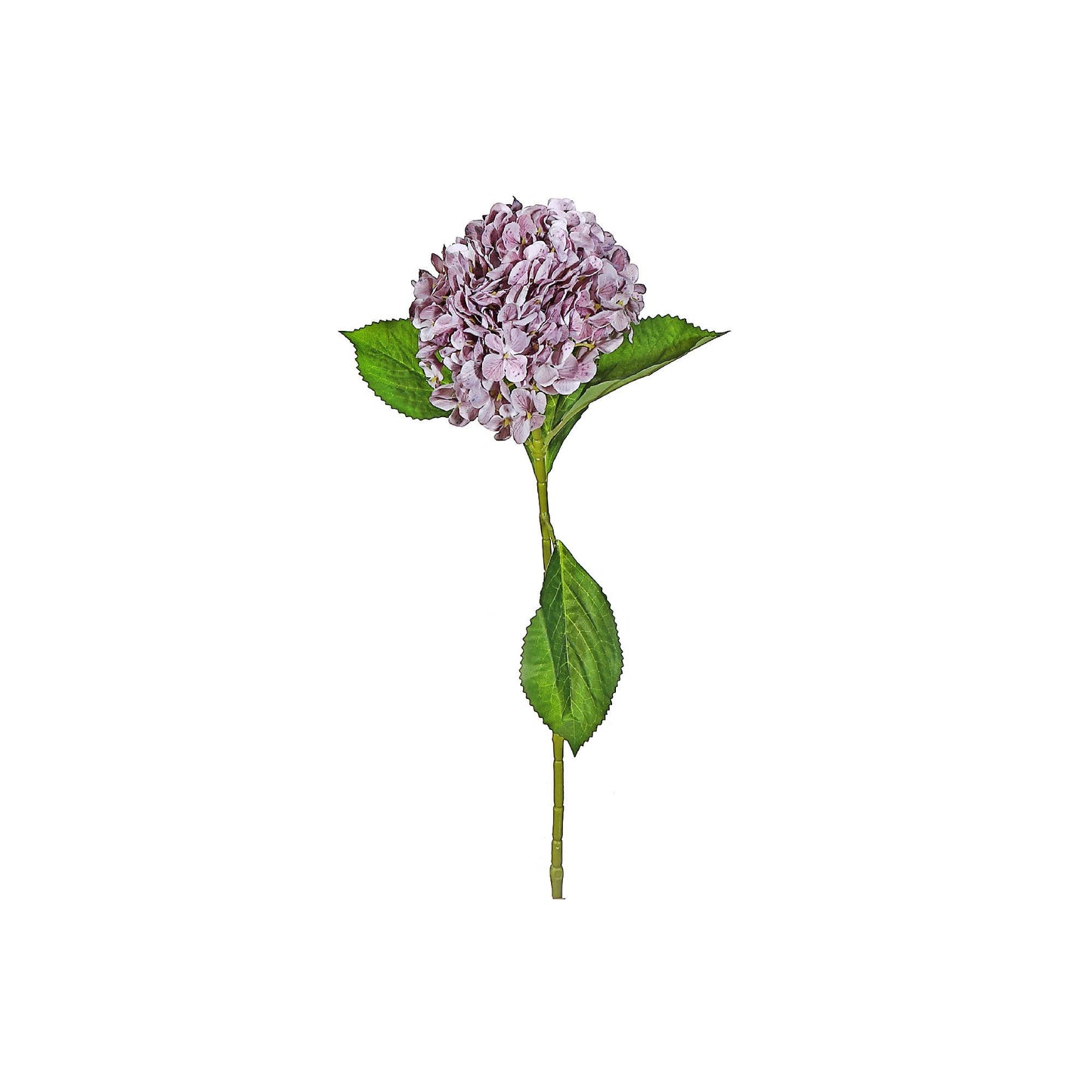 Simply Gifted - 25" Hydrangea Spray Assorted