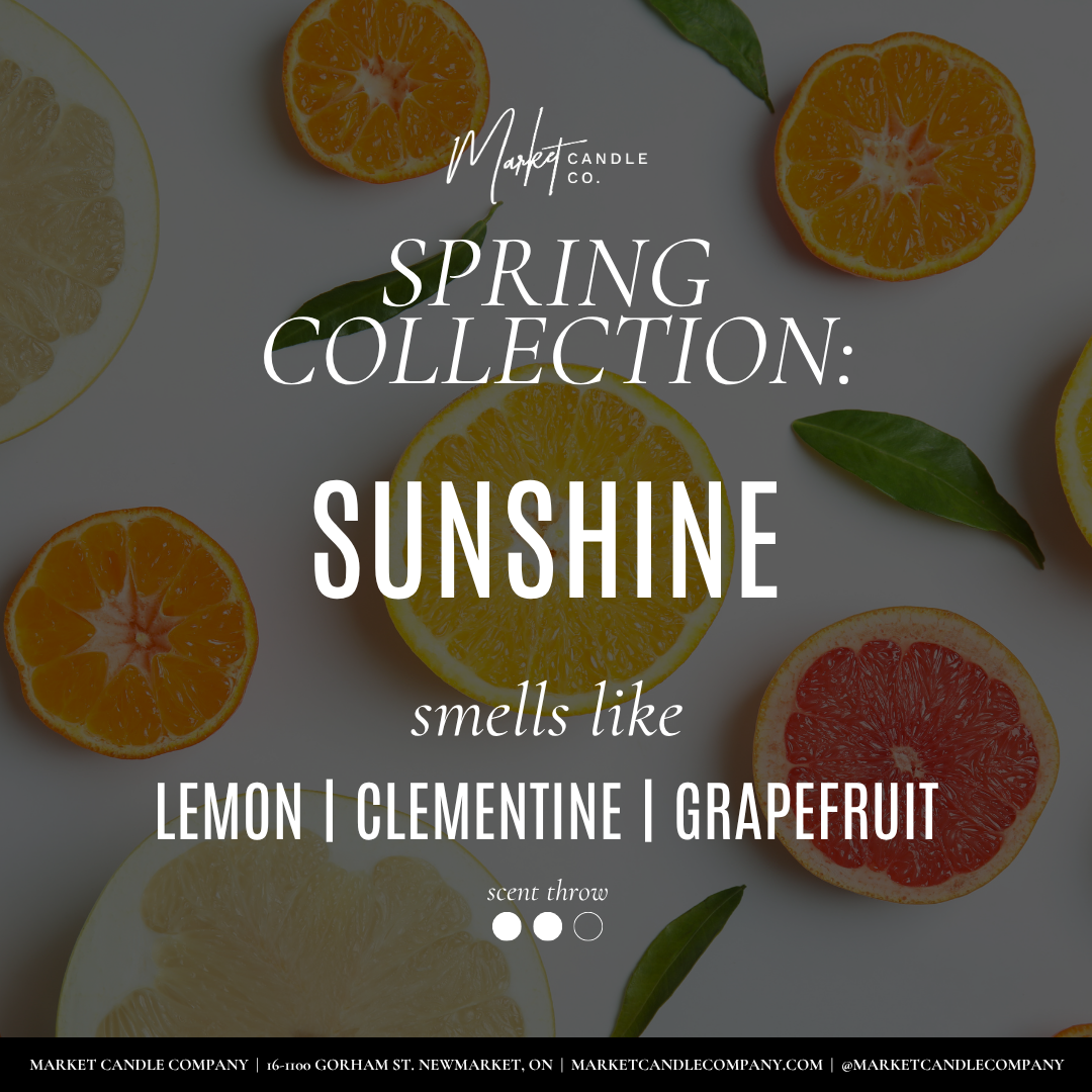 Market Candle Company - SUNSHINE SOY CANDLE: 8 oz Single Wick
