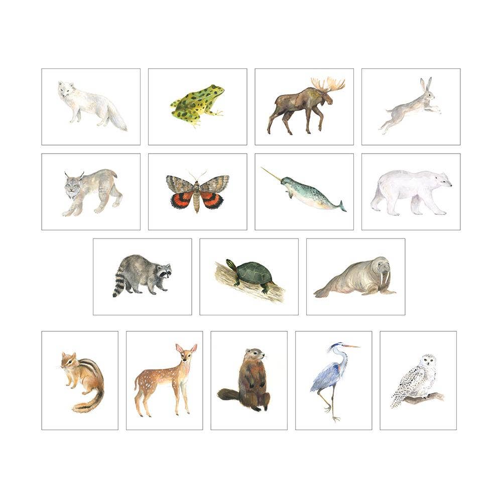 Emilie Simpson Art & Design - Animals of Canada Postcard Set