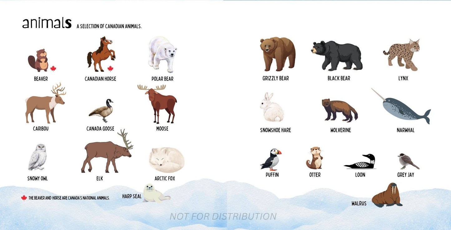 Doodle Paw Press - The Most Canadian Baby Book Ever Eh! Cute Canada Baby Book