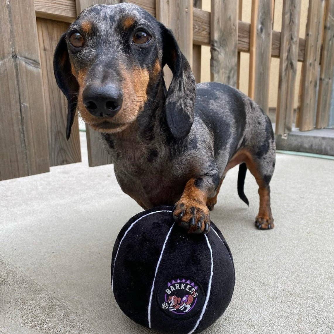 PawtyAnimals.ca - Toronto Barkers