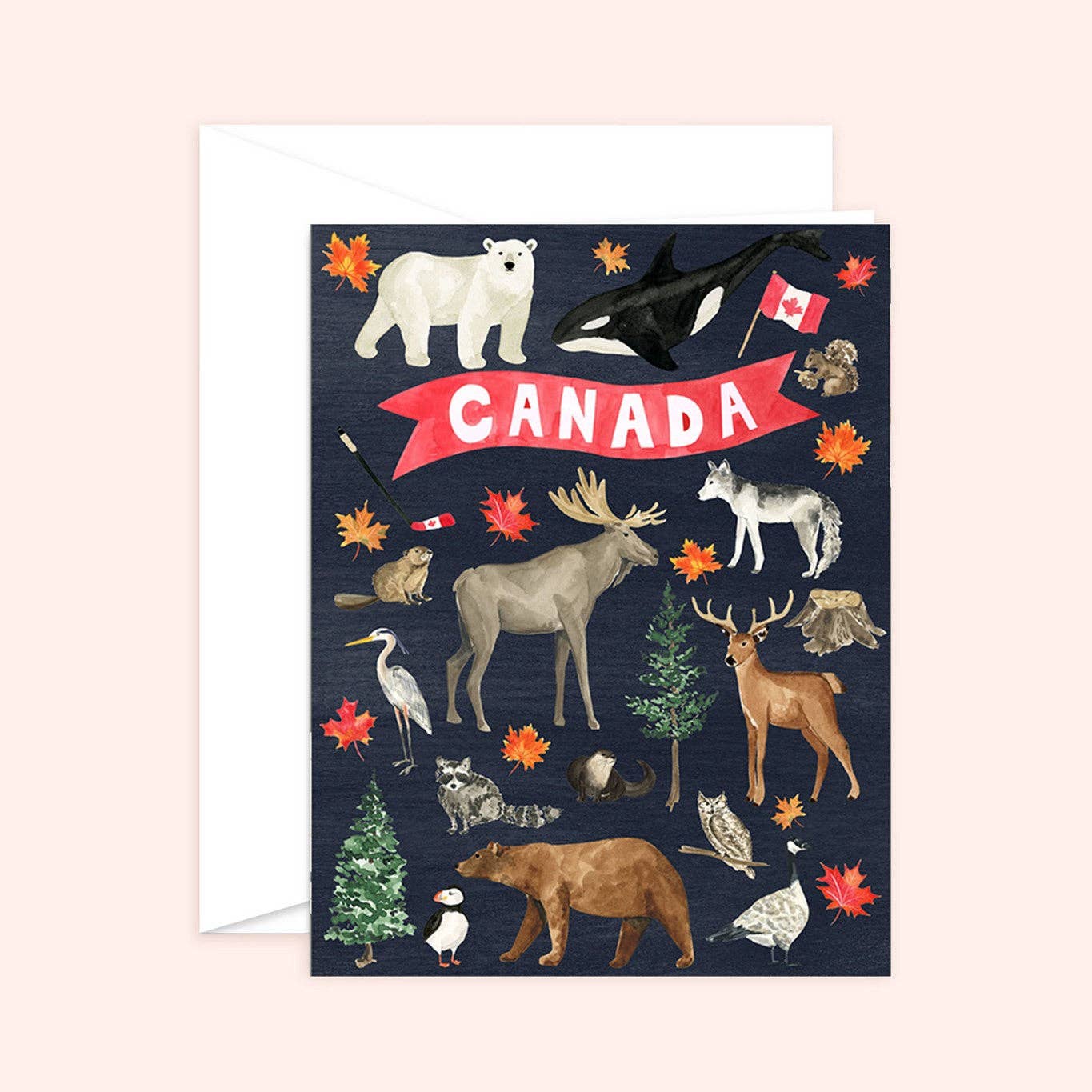 Almeida Illustrations - True North Canada Card | Canada: White