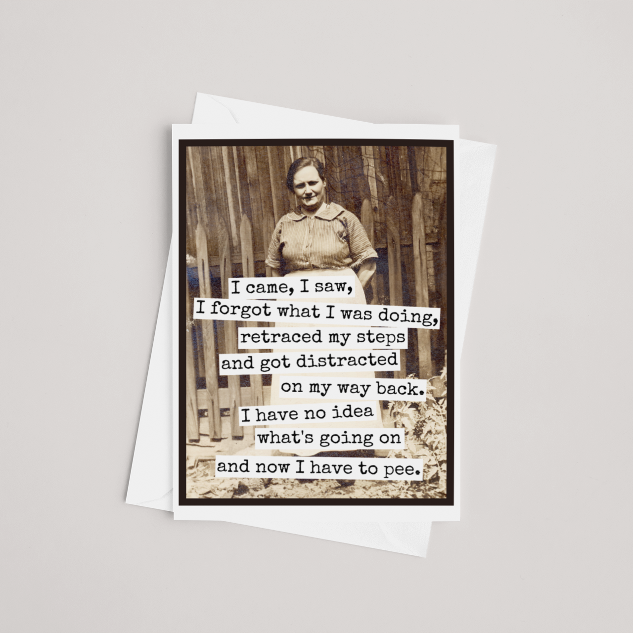 Raven's Rest Studio - Funny Greeting Card. I Came, I Saw, I Forgot What I Was Doin