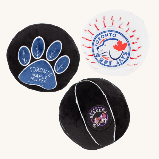 PawtyAnimals.ca - Toronto Barkers