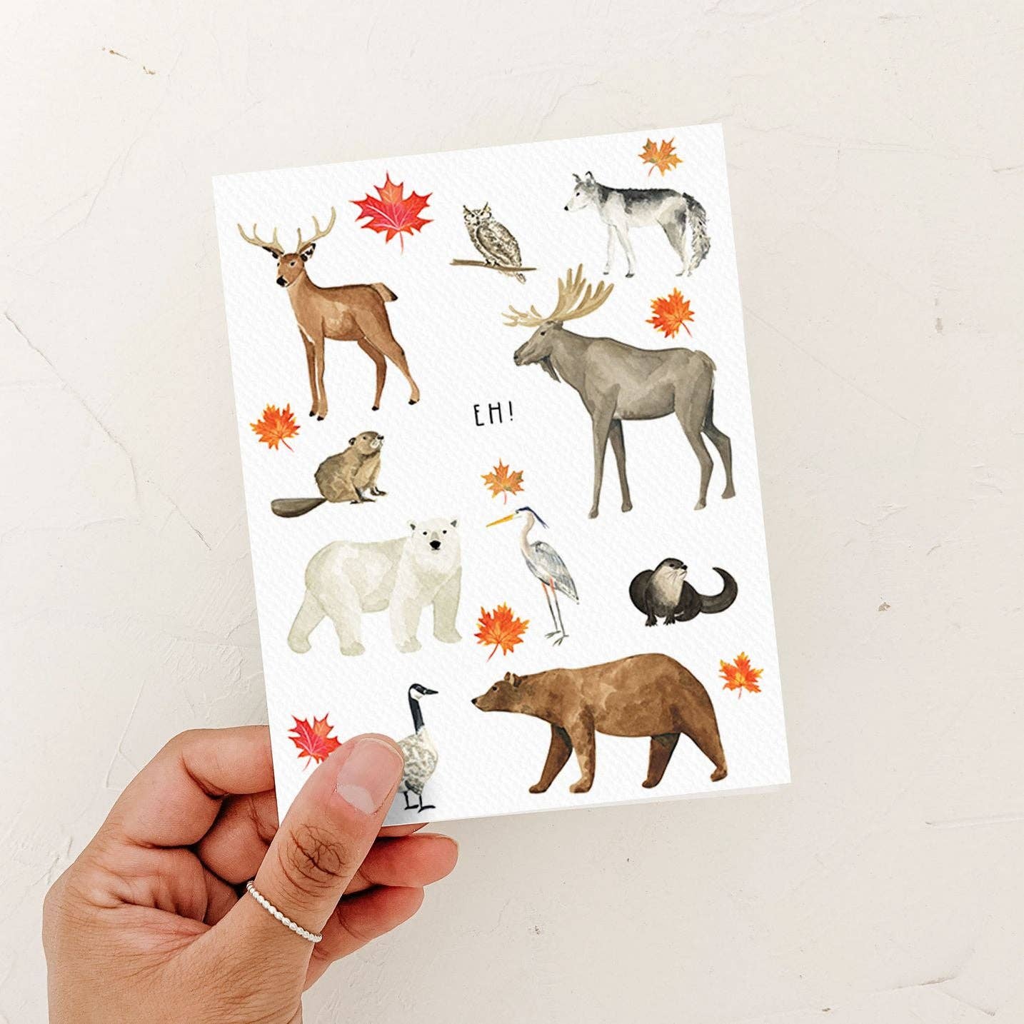 Almeida Illustrations - Canada Eh! Card | Canadian Animals: White