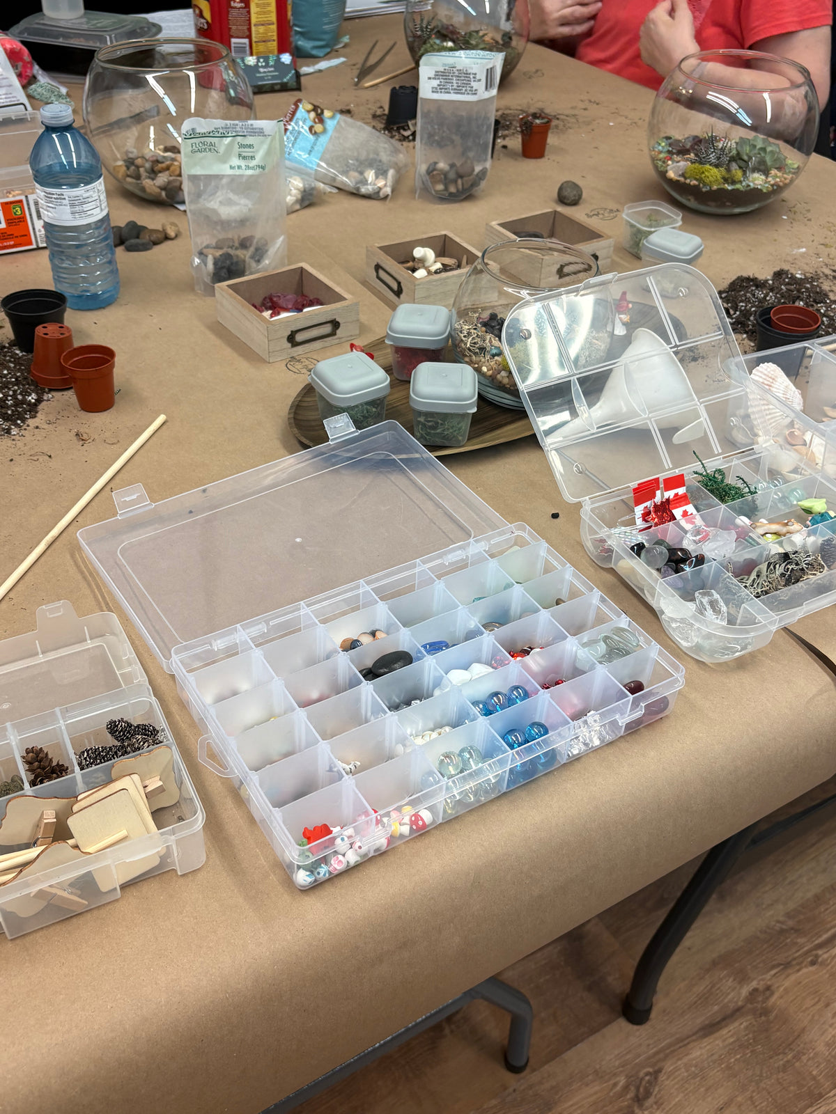 NEW * Terrarium Workshop September 19, 2026