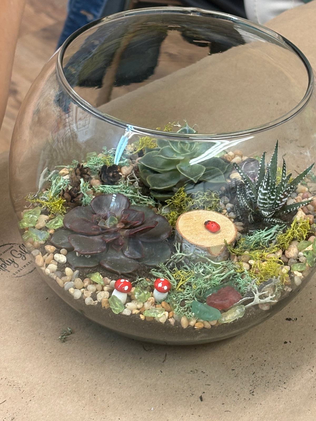 NEW * Terrarium Workshop September 19, 2026