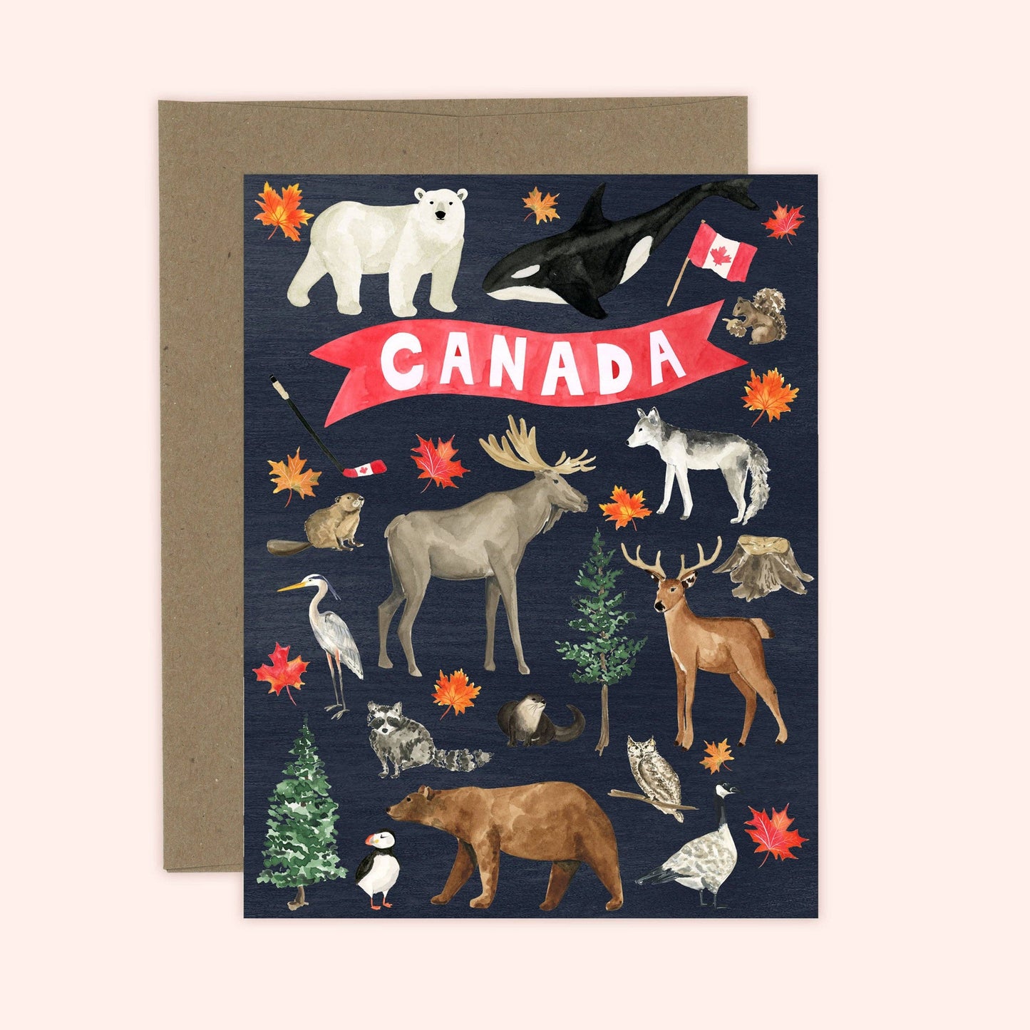 Almeida Illustrations - True North Canada Card | Canada: White