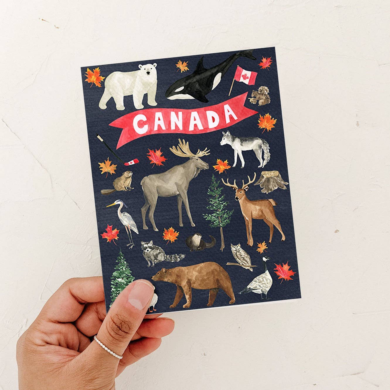 Almeida Illustrations - True North Canada Card | Canada: White