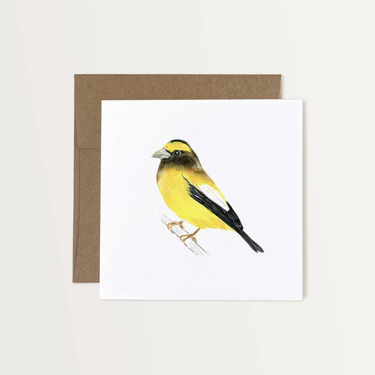 Emilie Simpson Art & Design - Evening Grosbeak Art Card
