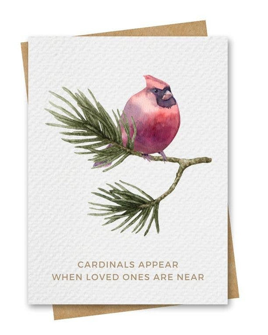 Paper Kuts - Cardinals Appear Sympathy Card - Includes Kraft Envelope: Square