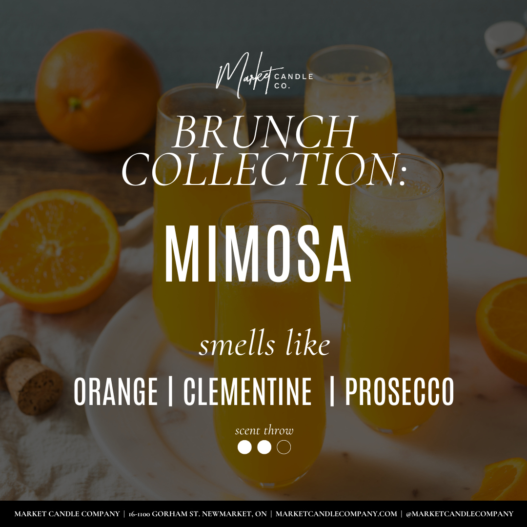 Market Candle Company - MIMOSA SOY CANDLE: 8 oz Single Wick