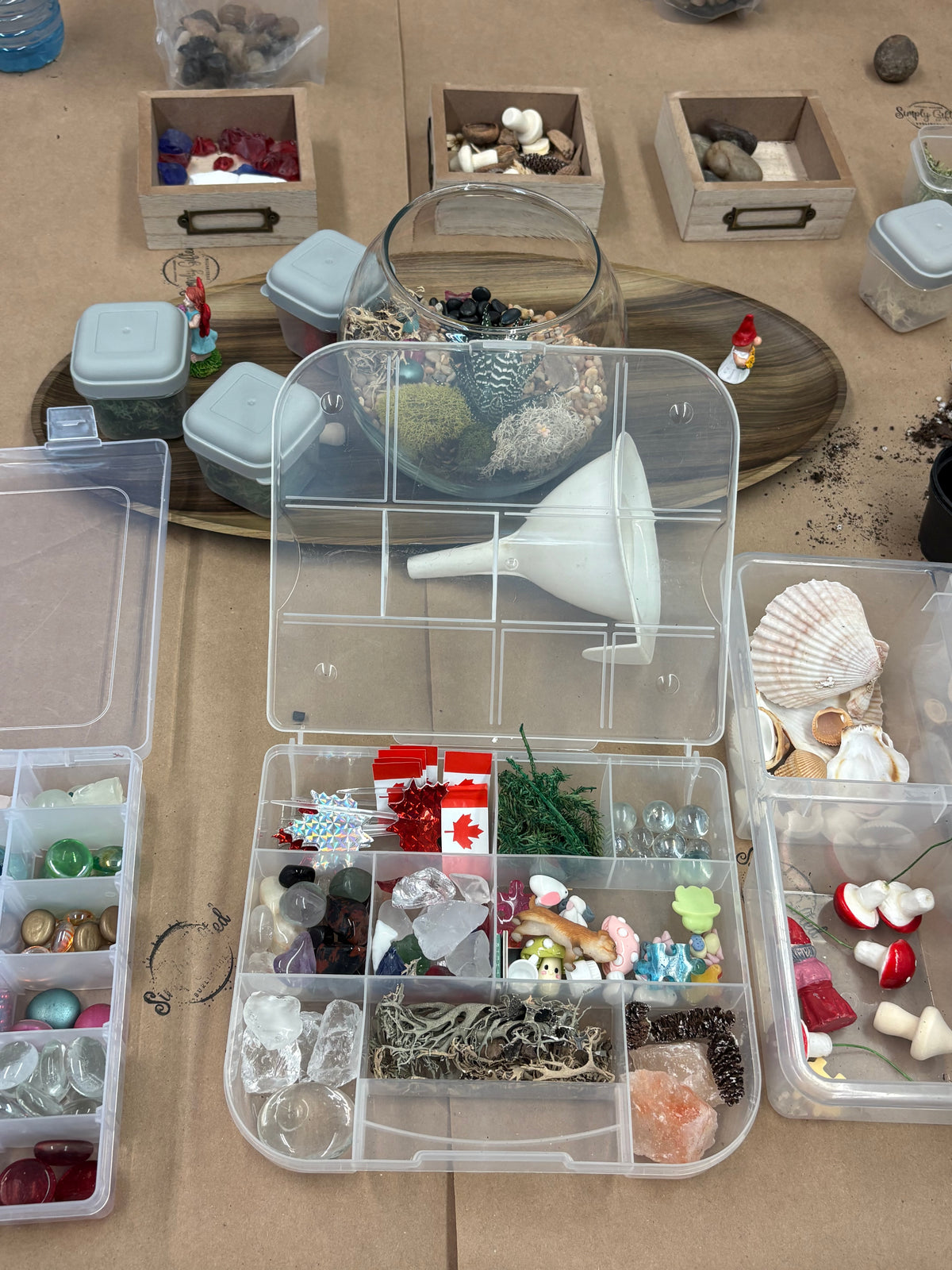 NEW * Terrarium Workshop September 19, 2026