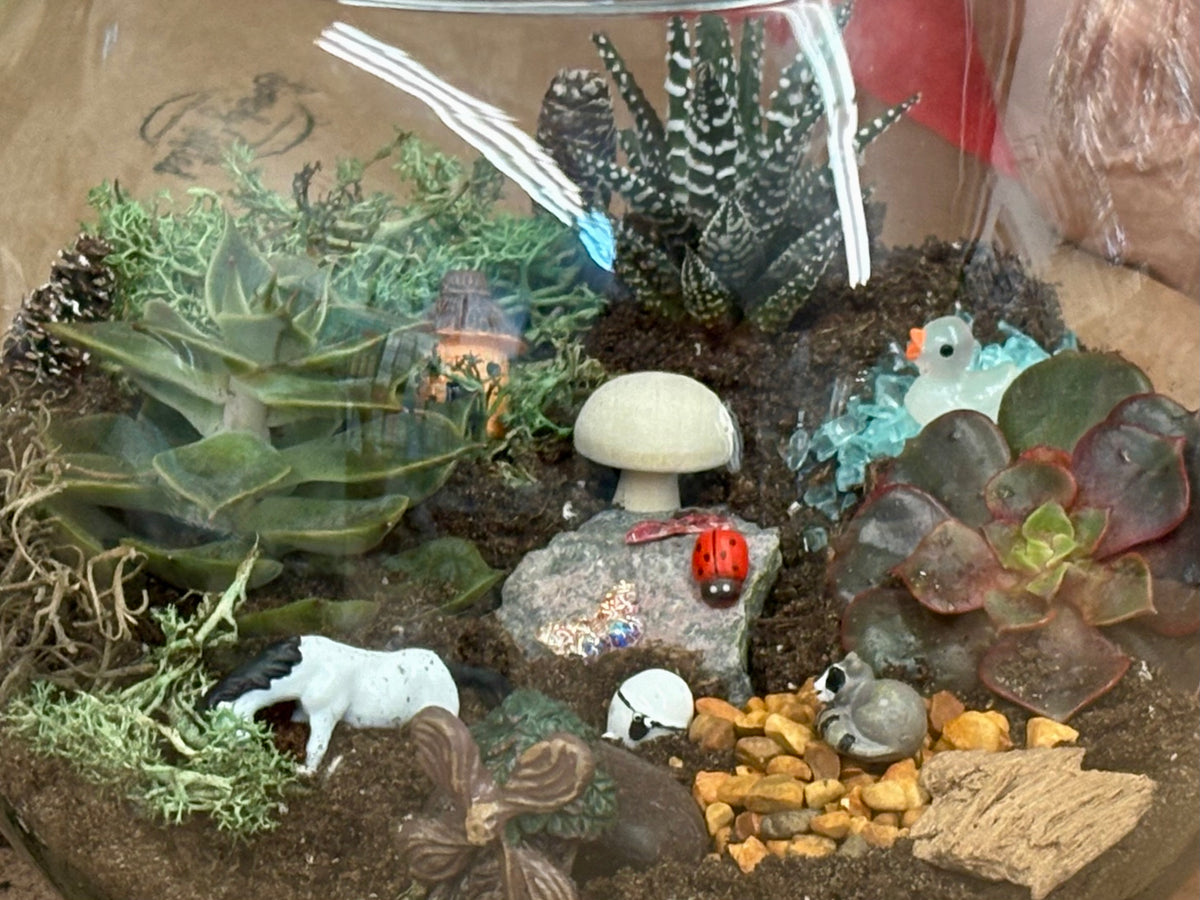 NEW * Terrarium Workshop September 19, 2026