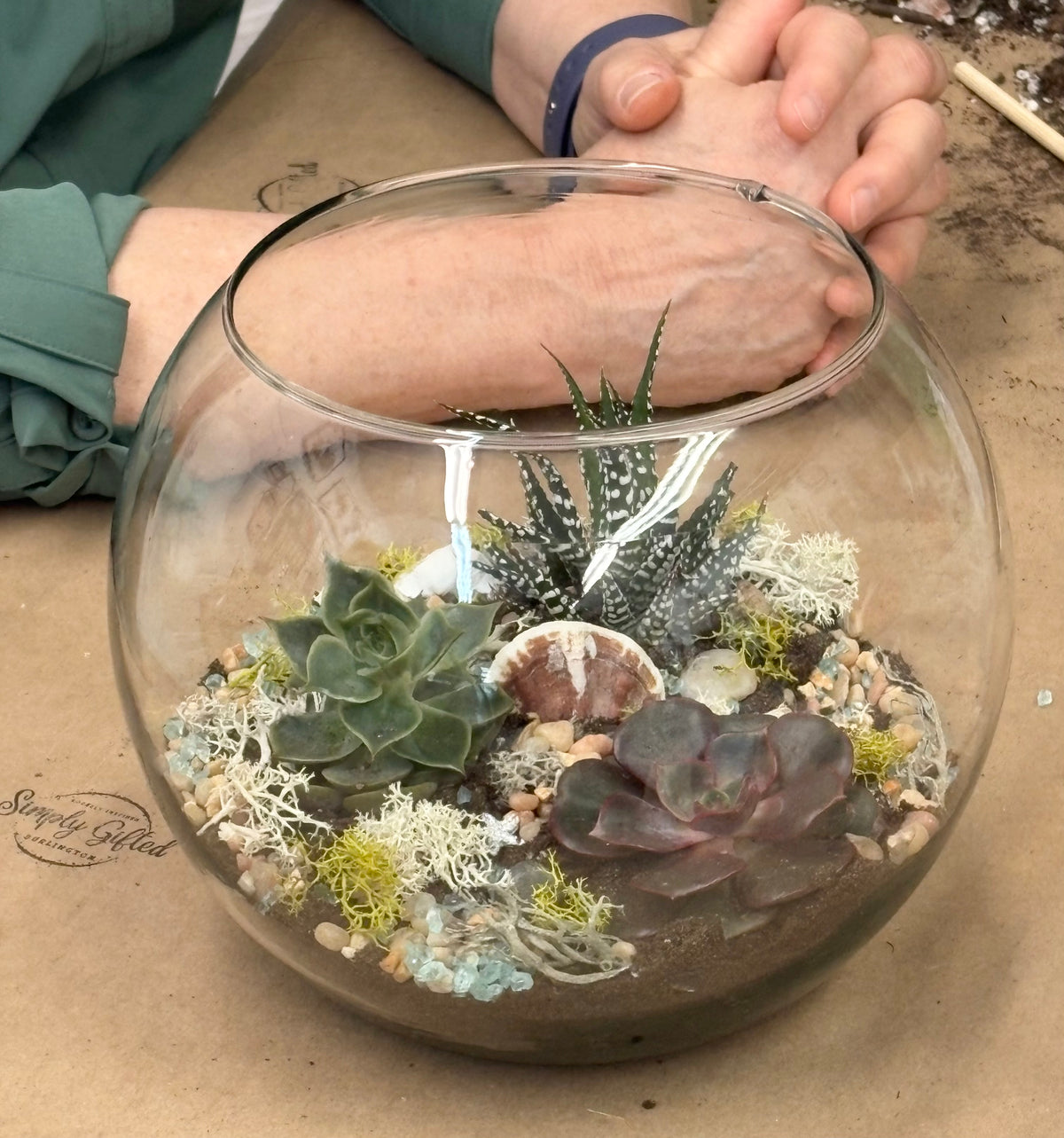 NEW * Terrarium Workshop September 19, 2026