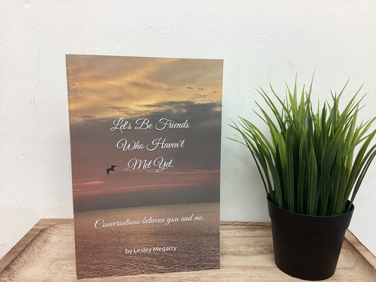 Let's Be Friends Who Haven't Met Yet Book - By: Lesley Megarry