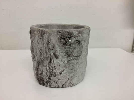 Birch/ concrete plant pot