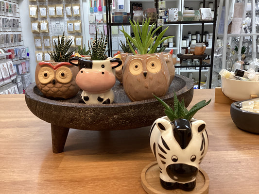 Animal pots- Simply Rooted