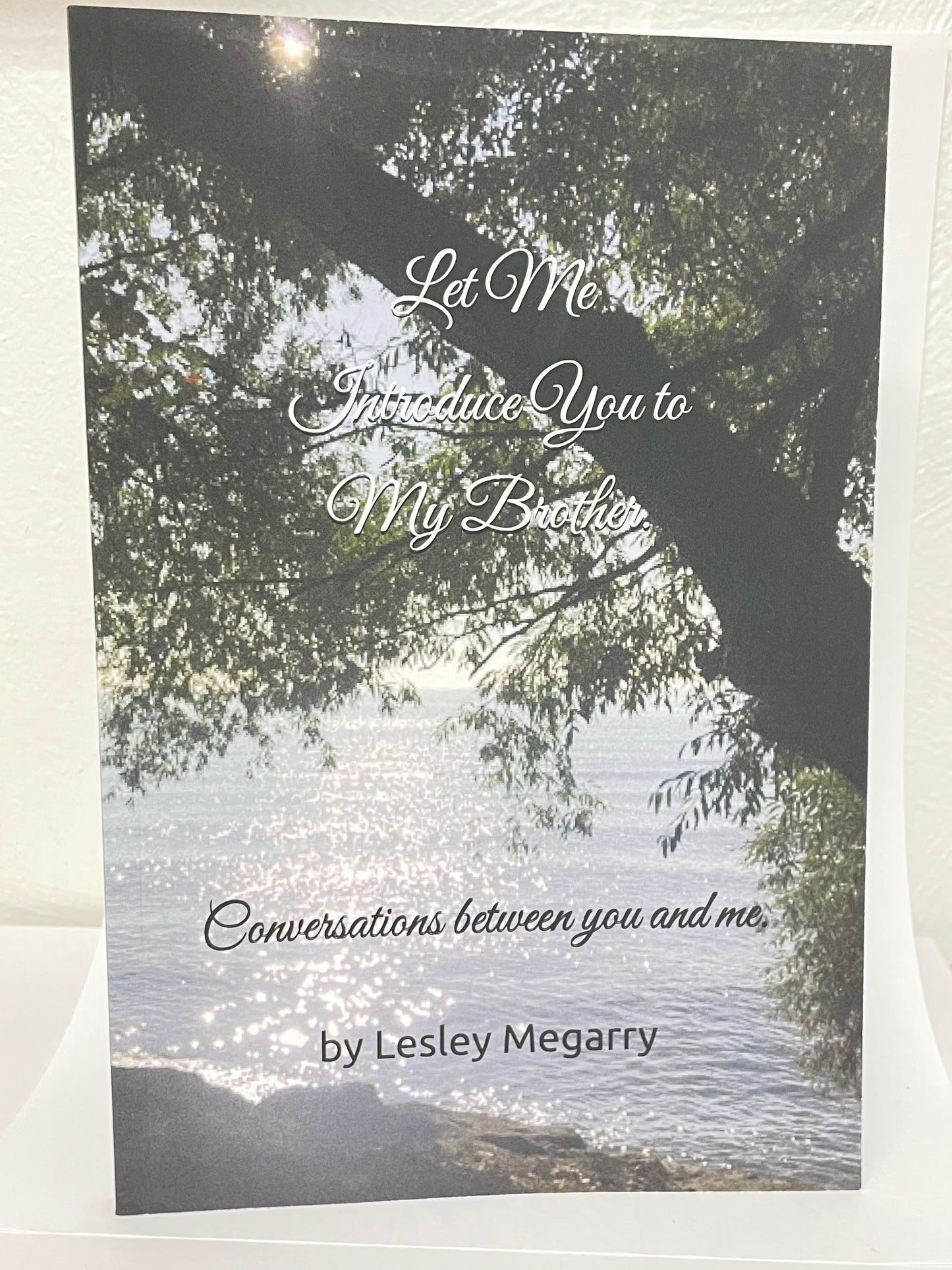 Let's Be Friends Who Haven't Met Yet Book - By: Lesley Megarry