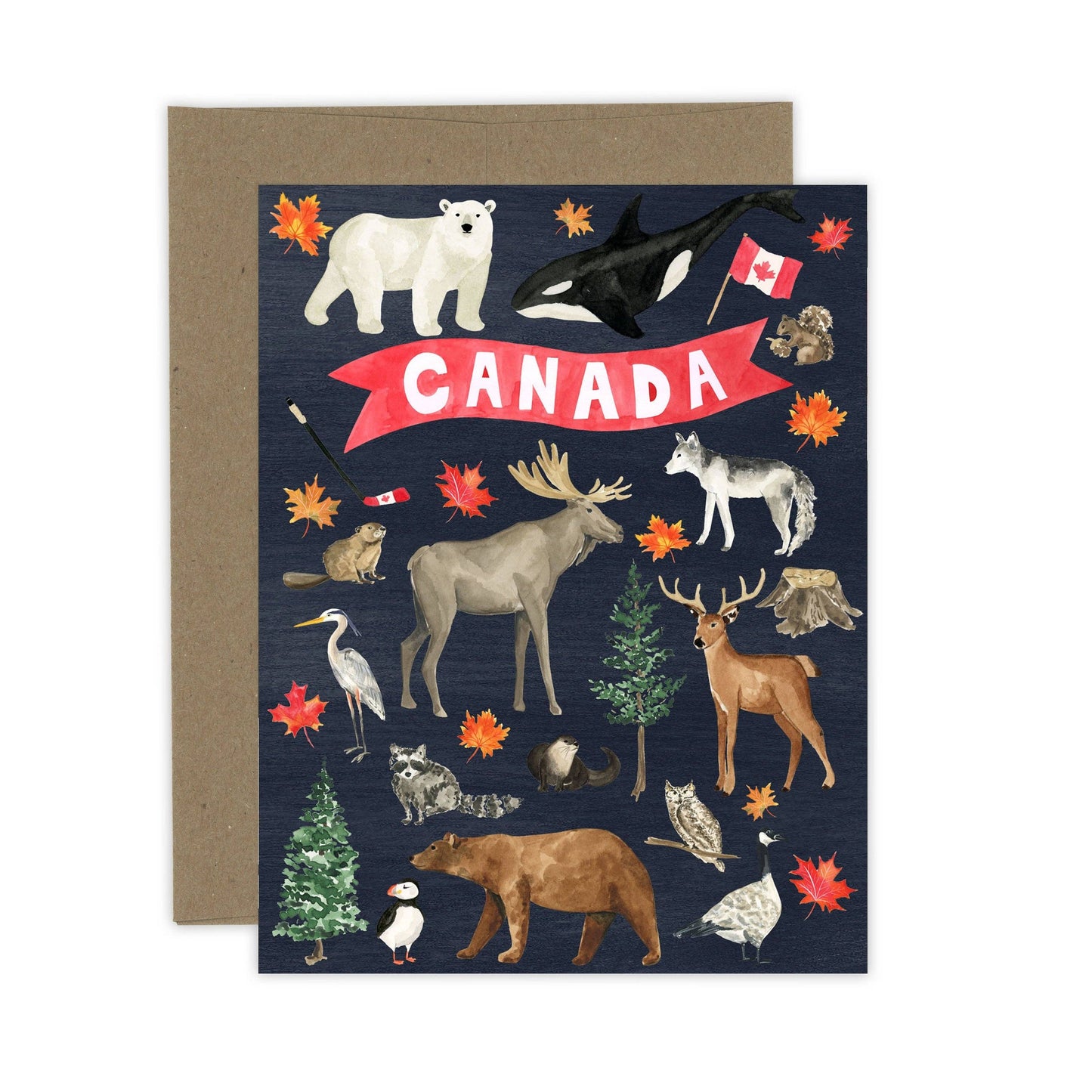 Almeida Illustrations - True North Canada Card | Canada: White