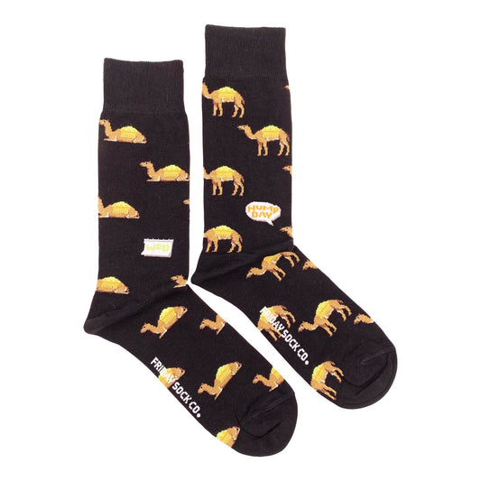 Friday Sock Co. - Fun Men's Socks | Hump Day | Mismatched | Premium Cotton: Men's 7 - 12
