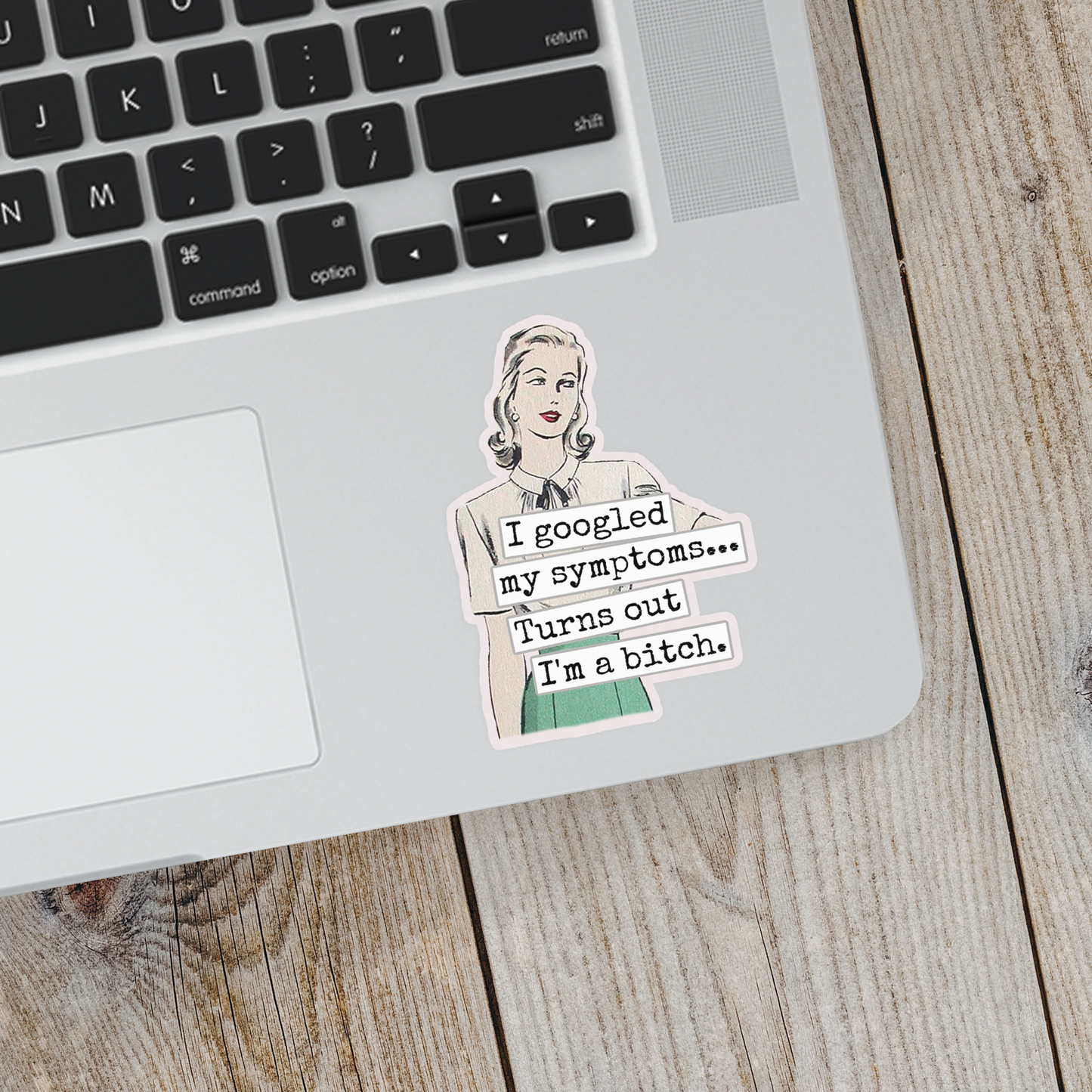 Raven's Rest Studio - Funny STICKER. I Googled My Symptoms.. Turns Out I'm A Bitch