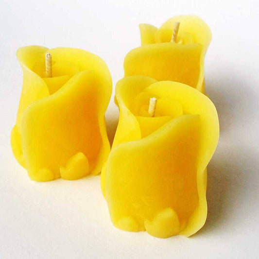 Eastvan bees - Rose Bud - 100% Beeswax Candle