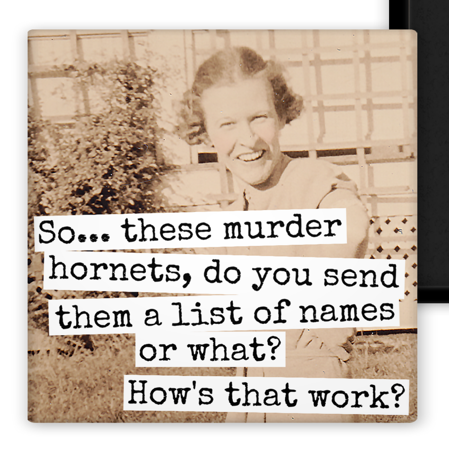 Raven's Rest Studio - MAGNET. So... These Murder Hornets, Do You Send Them A List