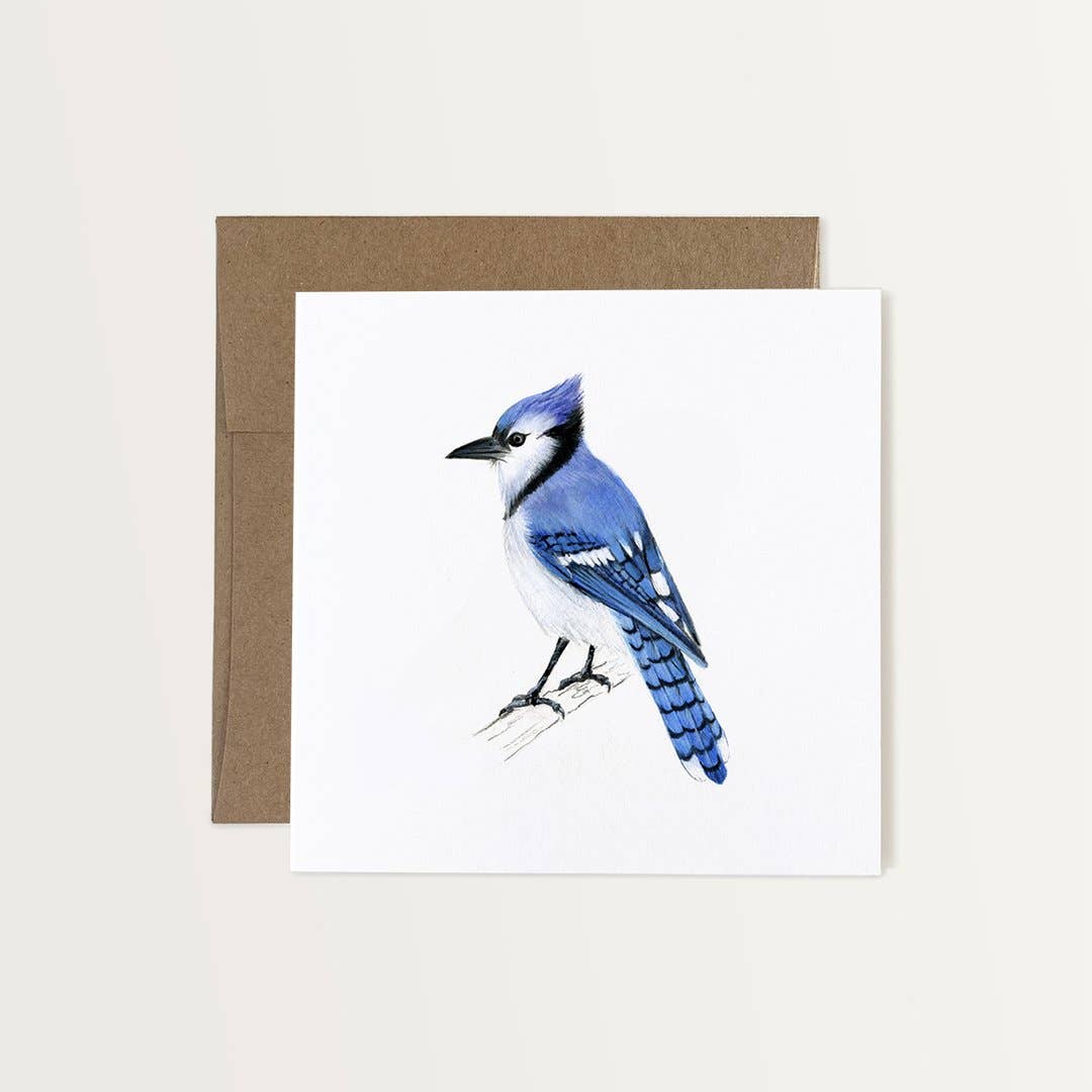 Emilie Simpson Art & Design - Blue Jay Card