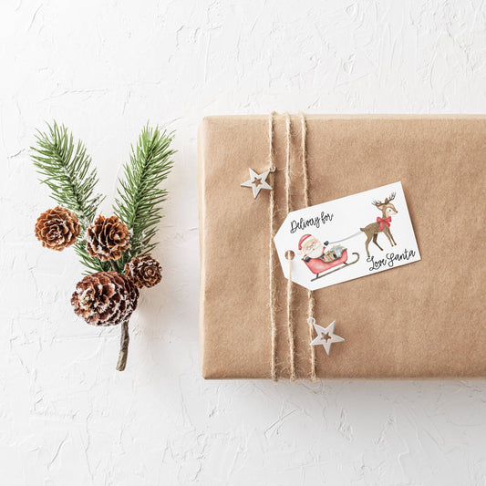 Chrsitmas Shop- Creativien Studio - Deliver for Santa Gift Tags