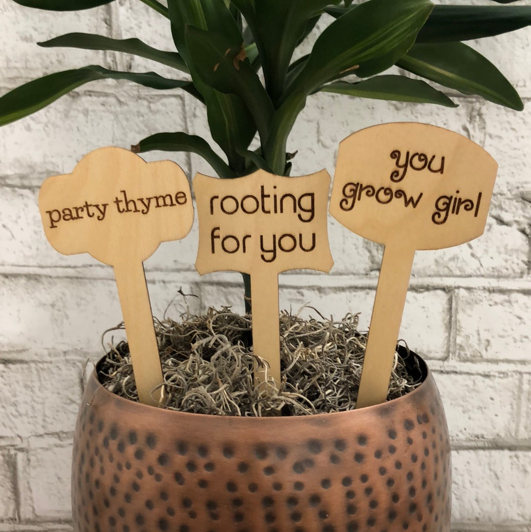 Simple Rooted - Plant Sticks (large)